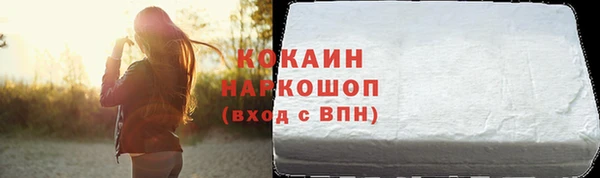 стаф Осинники
